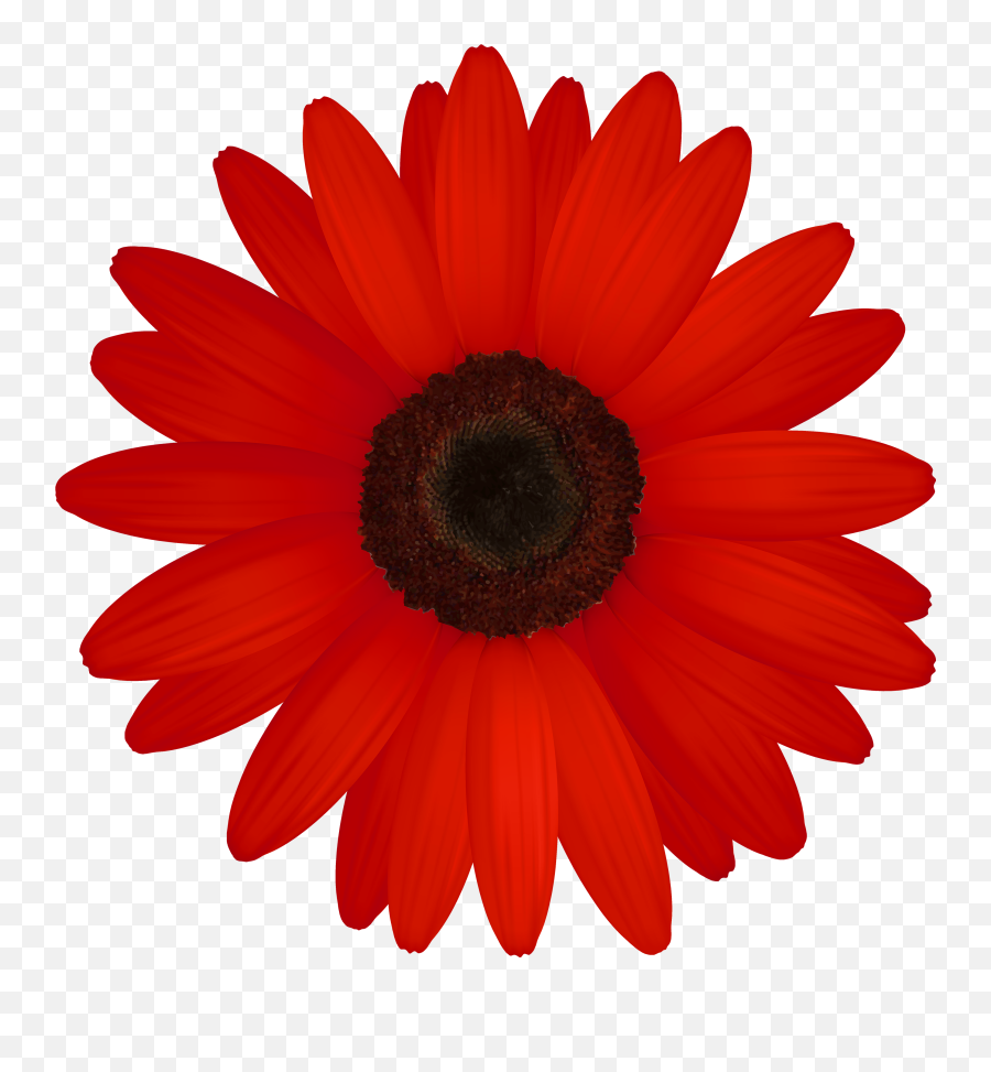 Red Flower Clipart Png - Pink Daisy Clipart Emoji,Red Flower Emoji