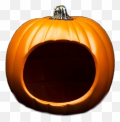 pumkin halloween - Sticker by Bianca Emoji