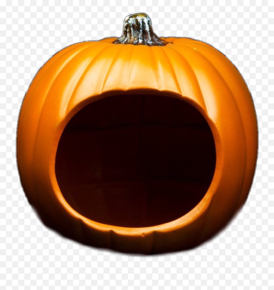 Pumkin Halloween - Sticker By Bianca Emoji,Pumkin Emoji
