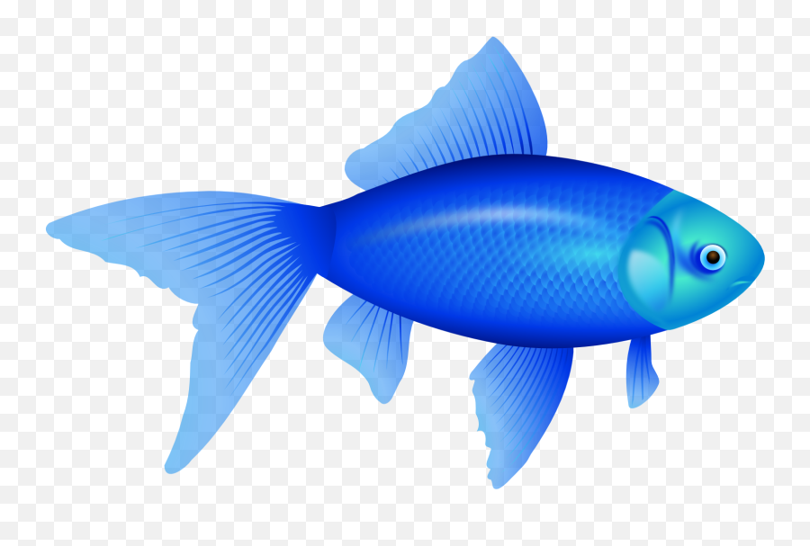 27 Tropical Fish Clipart Face Free Clip Art Stock - Transparent Background Fish Clipart Emoji,Emoji Pez