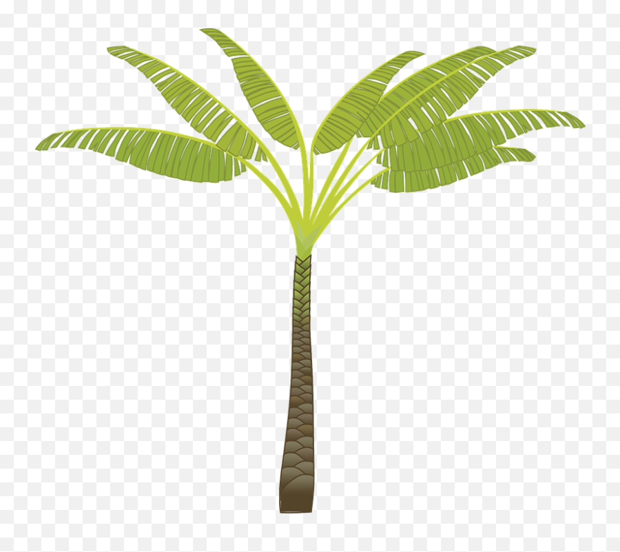Palm Tree Leaves Plant - Banana Tree Cartoon Transparent Emoji,Palm Tree Book Emoji