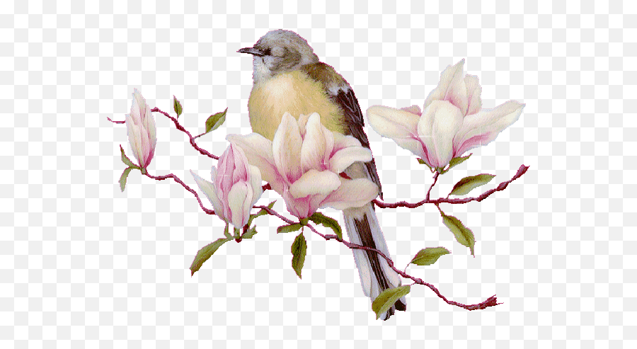 Top Palm Springs Stickers For Android U0026 Ios Gfycat - Animated Bird Singing Gif Emoji,Spring Emoji