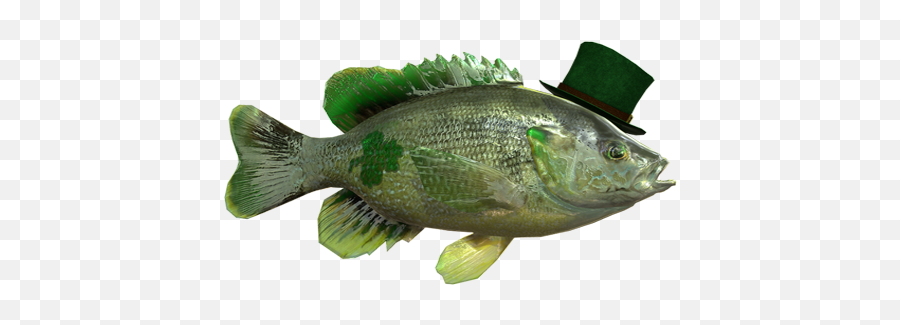 St Patricku0027s Gold Hunt - News And Qu0026a Fishing Planet Forum Green Sunfish Emoji,St Patrick's Day Emojis