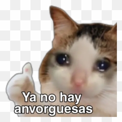 Gato Like Stickers For Whatsapp - Stickers De Gatos Para Whatsapp Emoji,Cat Heart Emoji Meme