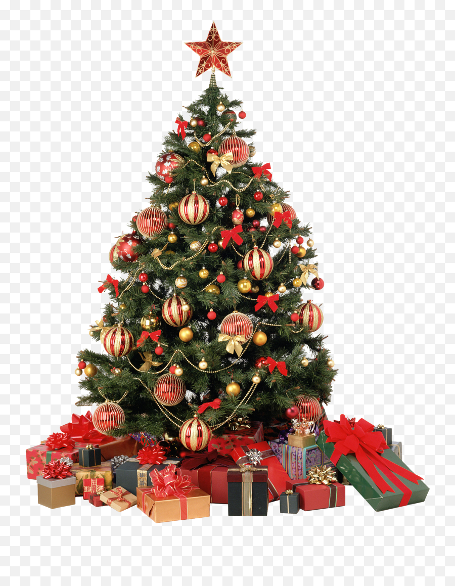 Christmas Tree Png - Transparent Christmas Tree Png Emoji,Candy Cane Emoji