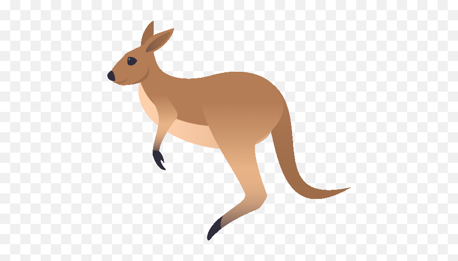 Kangaroo Nature Gif - Kangaroo Emoji,Kangaroo Emoji