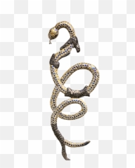 Kostenlose Stein - Snake Shedding Skin Symbol Emoji,Orc Emoji