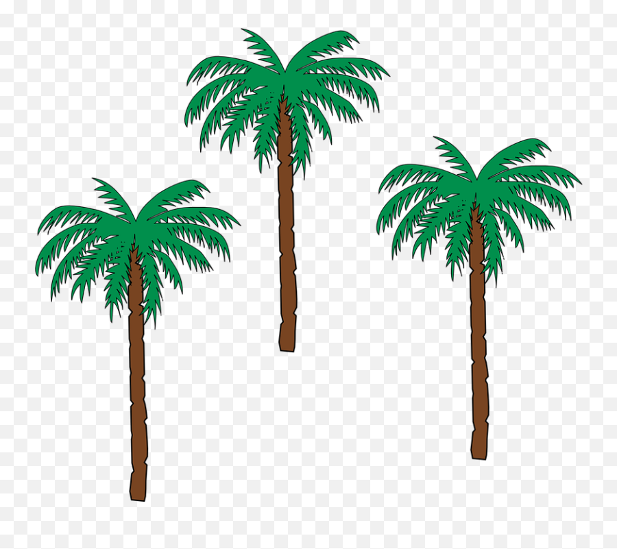 Palm Trees Date - Pom Trees Emoji,Palm Tree Book Emoji