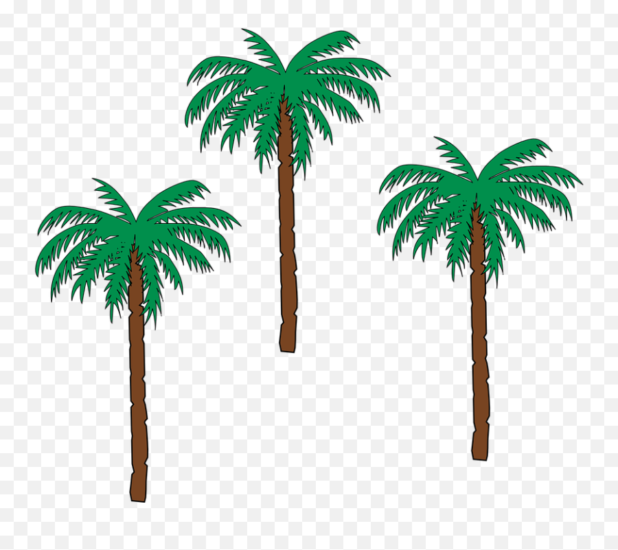 Palm Trees Date Pom Trees Emoji Palm Tree Book Emoji Free   4340336 