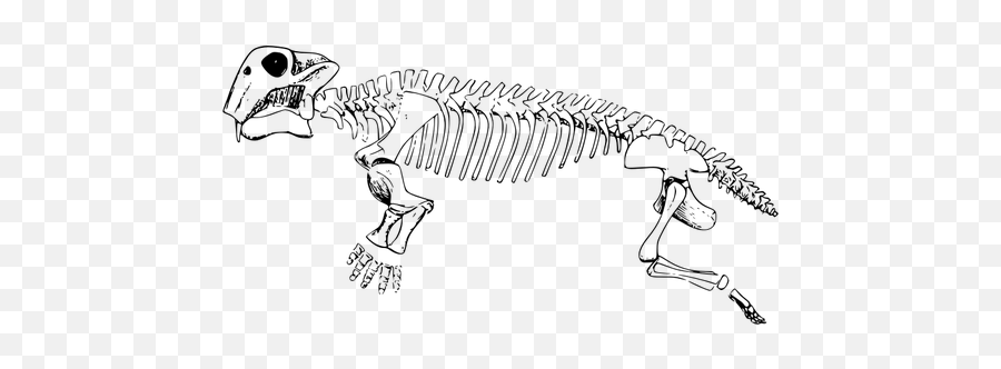 Triassic Period Lystrosaurus Vector Graphics - Lystrosaurus Skeleton Emoji,Dancing Emoji Gif