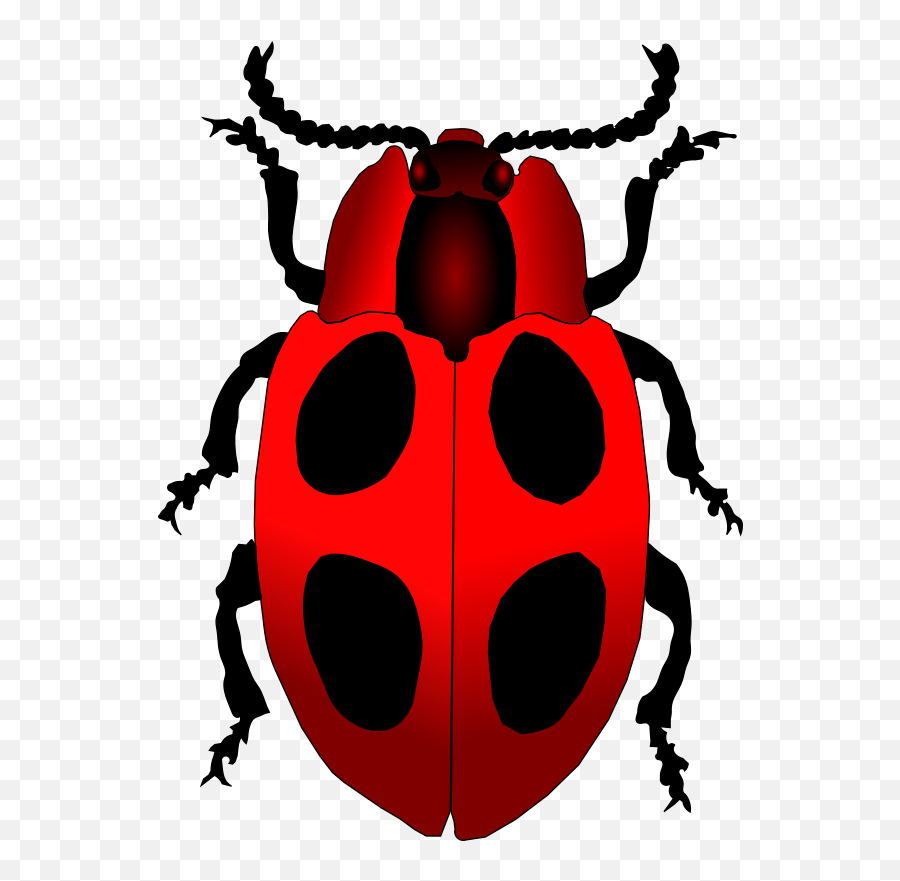 Download Free Png Ladybug - Dlpngcom Ladybird Beetle Emoji,Ladybug Emoji