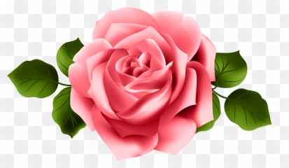 Wallpapers V - Pink Red Rose Png Emoji