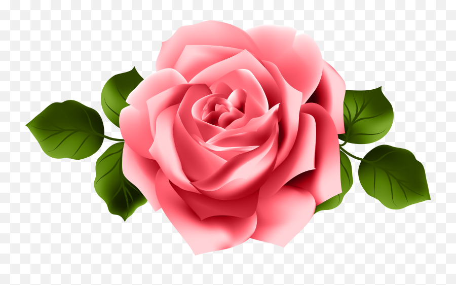 Wallpapers V - Pink Red Rose Png Emoji,Rose Emoticons