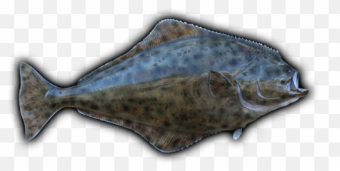 Download Clip Art Freeuse Stock - Halibut Emoji,Mullet Emoji