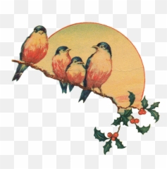 Vintage Bird Flower Art Sun Sunset - Clipart Png Emoji
