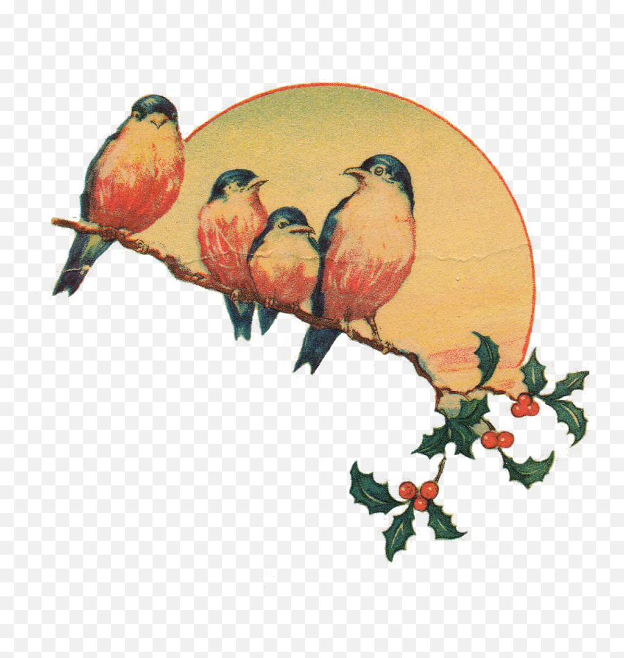 Vintage Bird Flower Art Sun Sunset - Vintage Clipart Png Emoji,Sunset Bird Emoji
