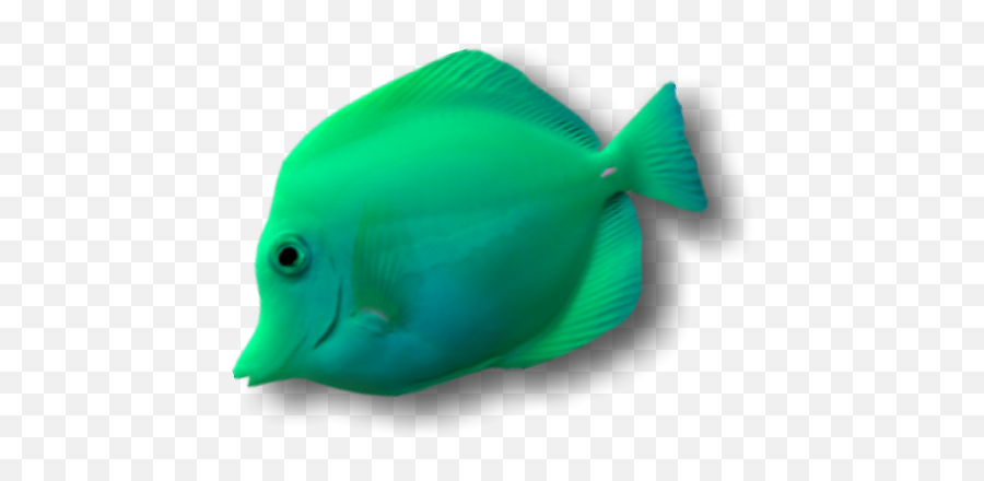 Green Fish Tropicalfish Water Ocean Underthesea Neon - Pomacentridae Emoji,Tropical Fish Emoji