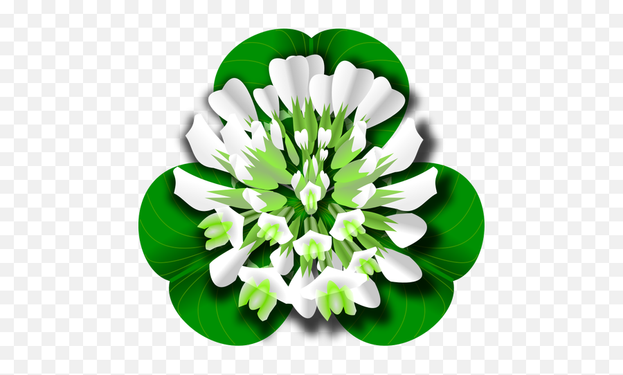 Clover Flower - Clover Flower Clipart Emoji,Four Leaf Clover Emoji