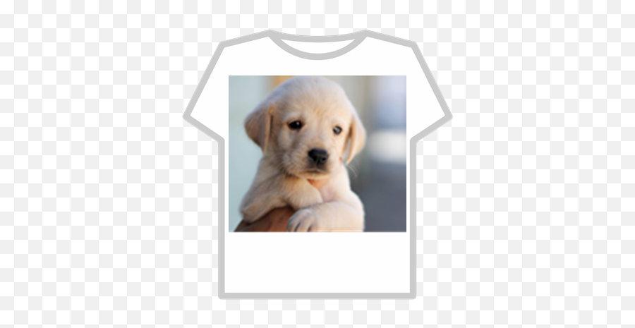Cute Puppy T Shirt - Siddharth Shukla Pet Dog Emoji,Golden Retriever Emoji