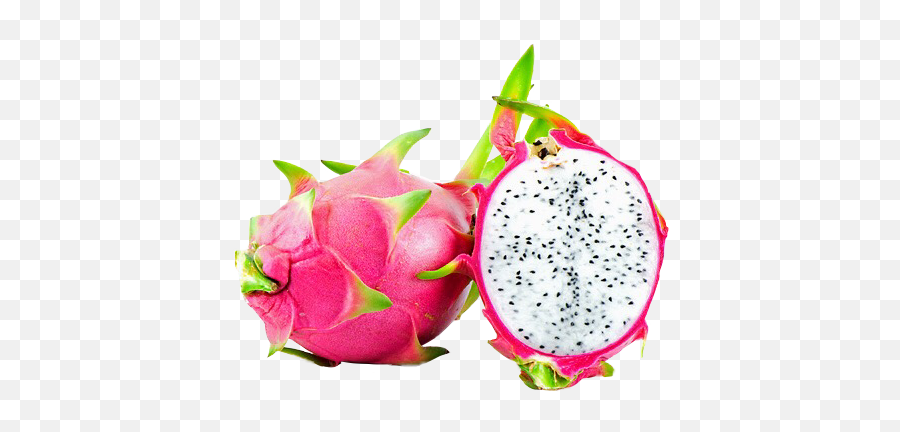 Dragonfruit Summerfruit Dragonfruits - Fruits Dragon Fruit Emoji,Dragon Fruit Emoji