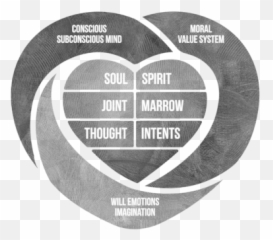 5 Stages To Create New Heart Beliefs - Subconscious Mind Heart Emoji,Heart Emotion
