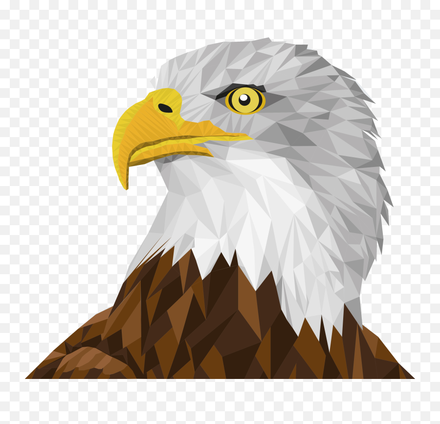 Small 1u0027u002725cm Collar - Color Dibujos De Aguilas Emoji,Bald Eagle Emoji
