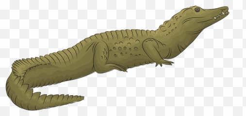 Nile Crocodile Clipart - Emoji
