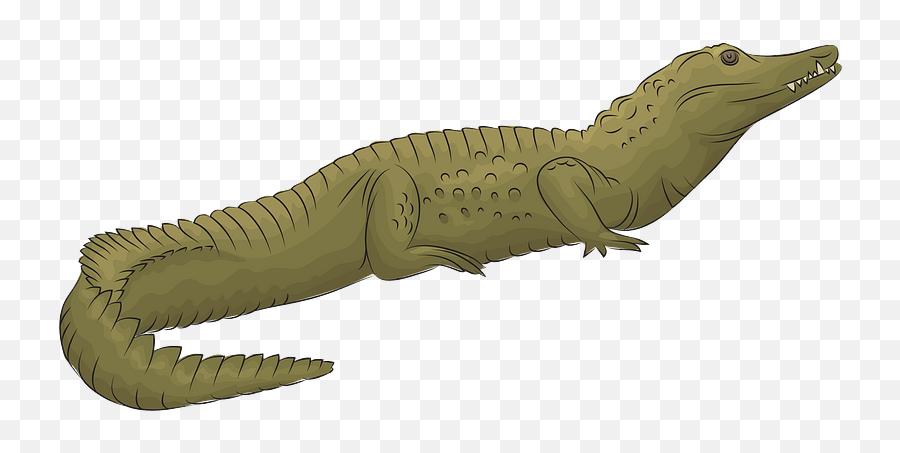 Nile Crocodile Clipart - Nile Crocodile Clipart Emoji,Crocodile Emoji