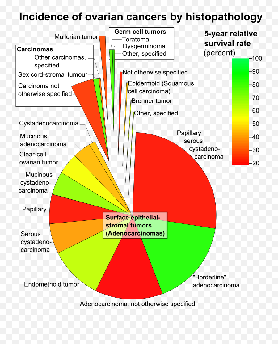 Incidence Of Ovarian Cancers - Surface Epithelial Stromal Tumours Emoji,Emojis Are Cancer