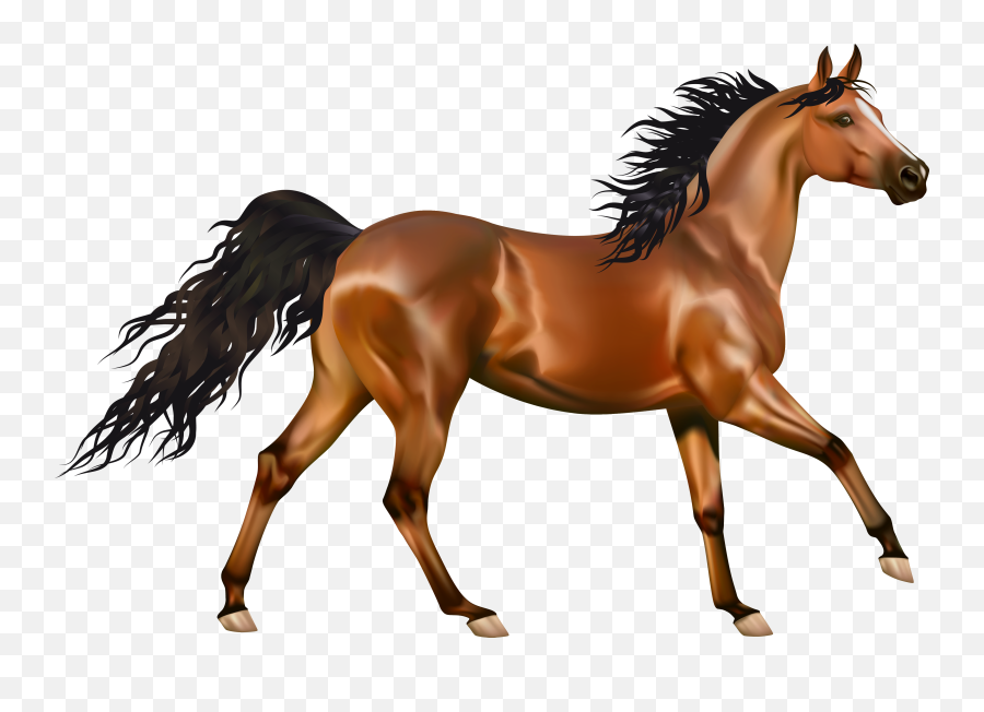 Horse Clipart Transparent Background - Horse Png Clipart Emoji,Horse Muscle Emoji
