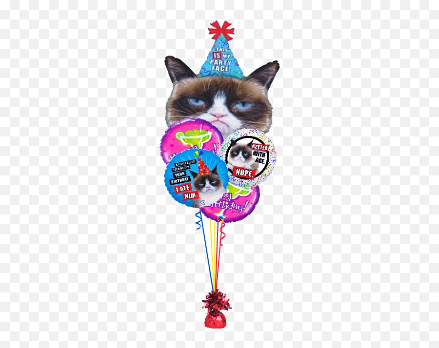 Grumpy Cat Pictures Birthday - Grumpy Cat Birthday Png Emoji,Grumpy Cat Emoji
