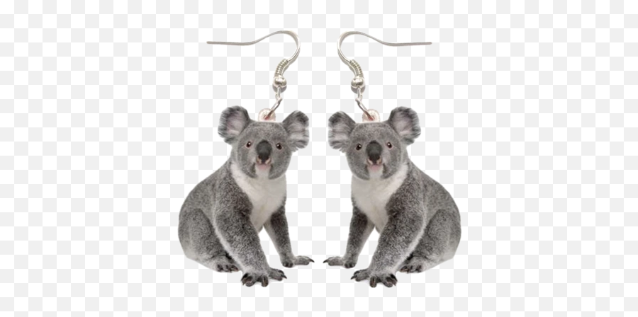 Laser Cut Acrylic Earrings - Transparent Background Koala Bear Png Emoji,Emoji Earrings