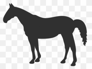 Download Horse Icon - Quarter Horse Clipart Emoji,Horse Emoticons
