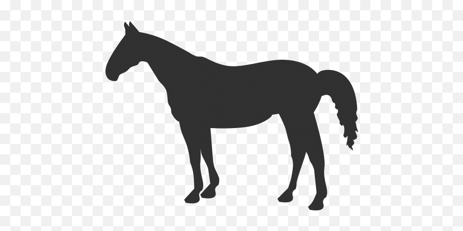 Download Horse Icon - Quarter Horse Clipart Emoji,Horse Emoticons