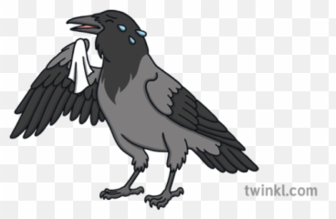 Crying Hooded Crow Bird Corvid Emotions Tears Ks1 - American Crow Emoji,Crow Emoji