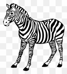 Panda Clipart Zebra Panda Zebra Transparent Free For - Colouring Pages Of Zebra Emoji,Zebra Emoji