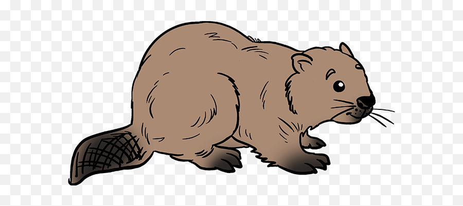 How To Draw A Beaver - Draw A Beaver Easy Emoji,Beaver Emoji