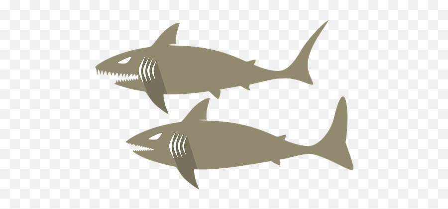 100 Free Shark U0026 Fish Illustrations - Pixabay Emoji,Shark Emoji