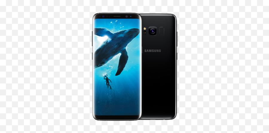 Samsung Galaxy S8 Mobile - View Specifications U0026 Details Of S8 Samsung Price In Bangladesh Emoji,Samsung Galaxy S8 Emojis