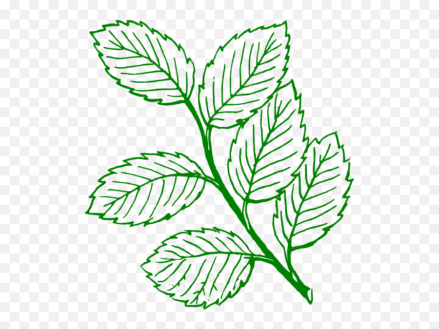 Clipart Leaves Vector Clipart Leaves Vector Transparent - Leaves Clipart Black And White Emoji,Leaves Emoticon
