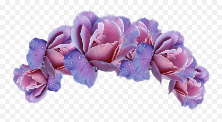 Purple Flower Crown Png Transparent Cartoon - Jingfm Crown Of Flowers Png Emoji,Purple Flower Emoji