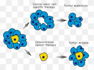 Cancer Stem Cells - After Chemotherapy Emoji