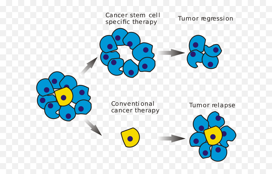 Cancer Stem Cells - Cancer Cells After Chemotherapy Emoji,Emojis Are Cancer