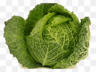 Cabbage Clip art Collard greens Portable Network Graphics - Kapusta Png Emoji