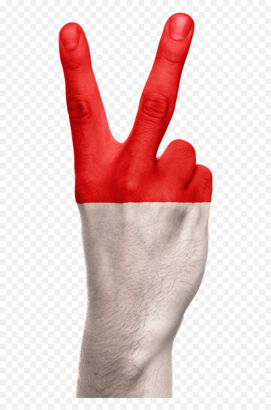 Indonesia Flag Hand Peace Victory - Peace Indonesia Png Emoji,Muslim Flag Emoji