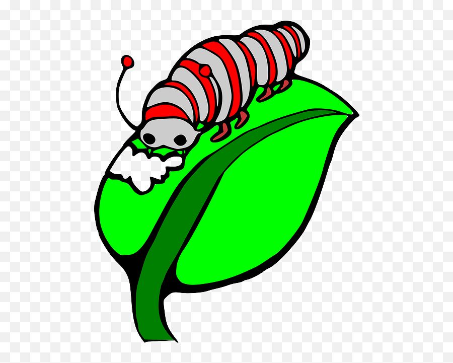 Free Caterpillar Transparent Download Free Clip Art Free - Silkworm Clipart Emoji,Caterpillar Emoji