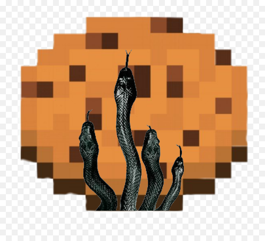 Snake Cookie Snake Snakes Snakecookie - Minecraft Cookie Png Emoji,Black Mamba Emoji