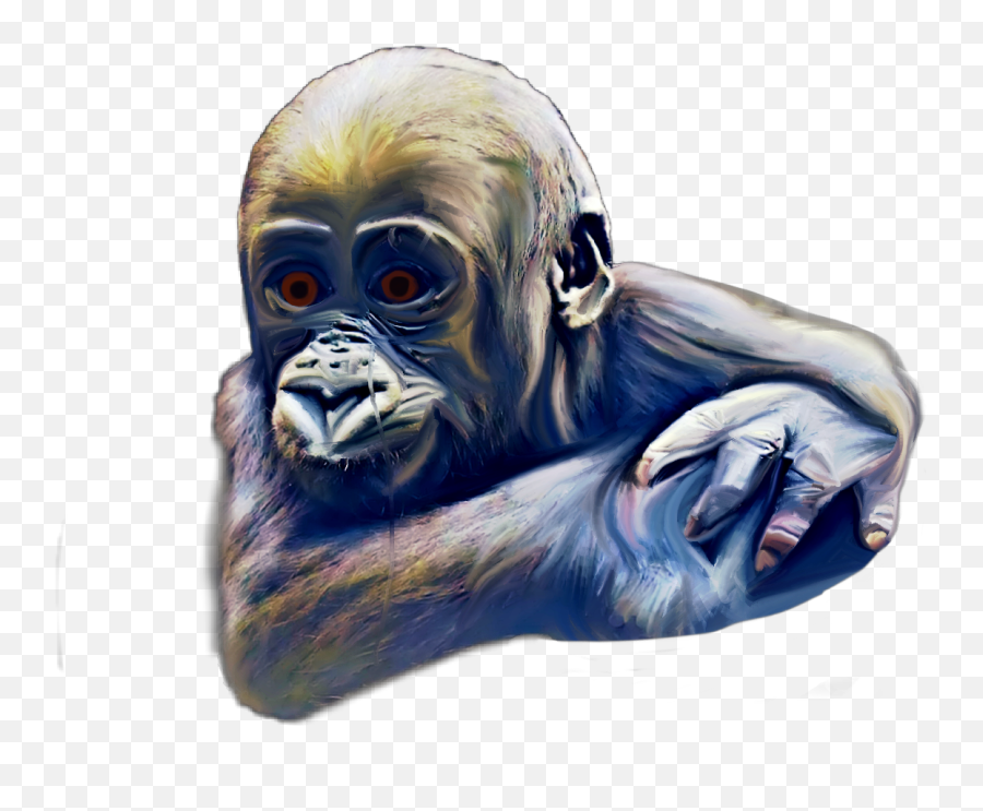 Gorilla Gorillakind Createdbyalexa - Monkey Emoji,Gorilla Emoji