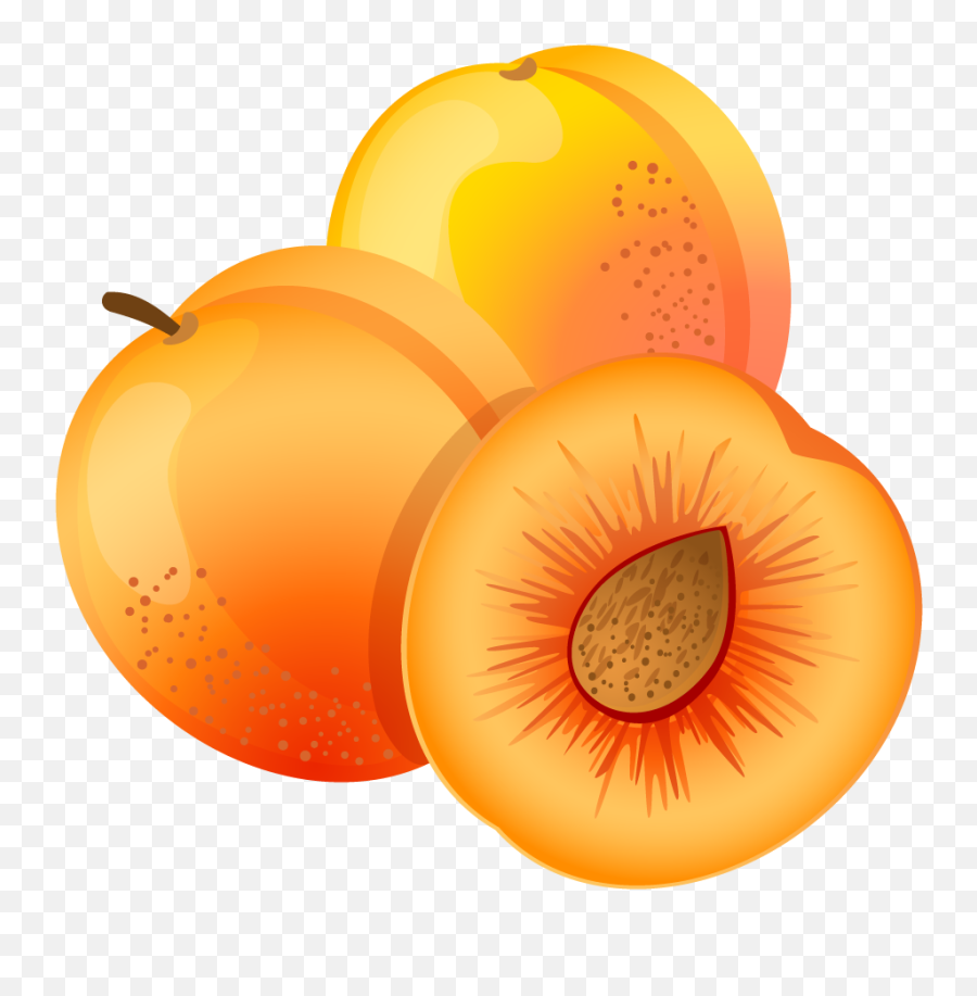 Apricot Clipart - Apricot Clipart Png Emoji,Apricot Emoji