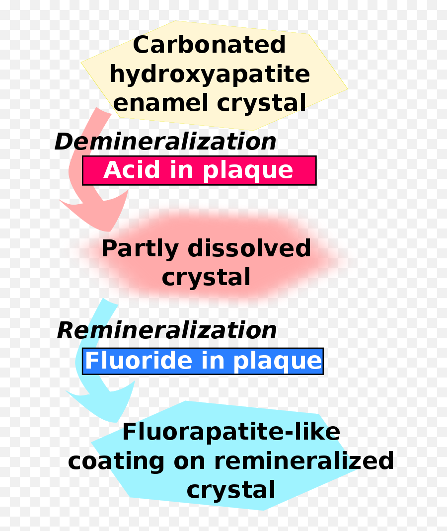 Enamel - Fluoride Remineralization Emoji,Sugar Emoji